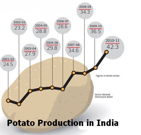 Potato Production In India 454 